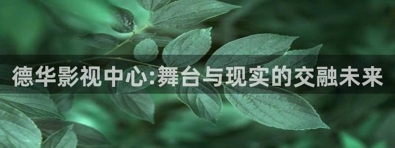 星空影院大全免费观看电视剧：德华影视中心:舞台与现实的交融未来