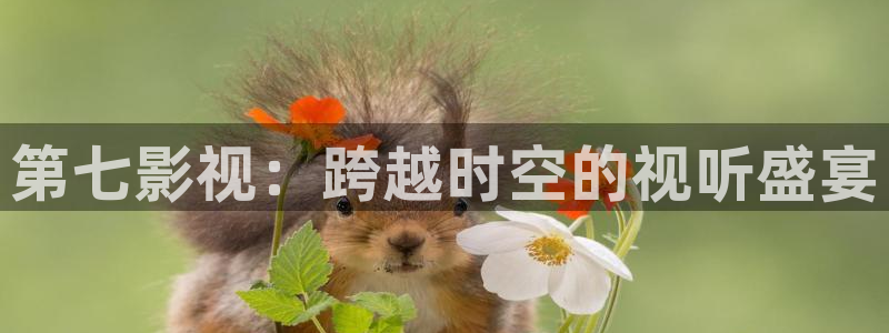 星空影视官网app：第七影视：跨越时空的视听盛宴