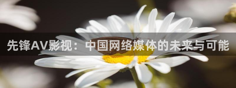 影视厅星空顶：先锋AV影视：中国网络媒体的未来与可能