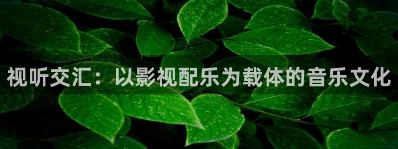 汾阳星空国际影城：视听交汇：以影视配乐为载体的音乐文化