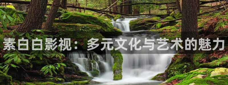 星空国际影城：素白白影视：多元文化与艺术的魅力