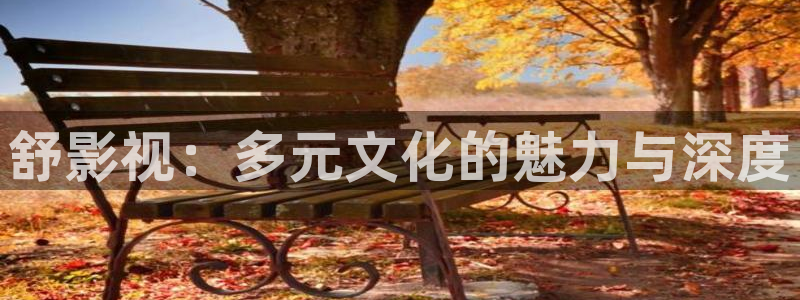 如懿传星空影院：舒影视：多元文化的魅力与深度