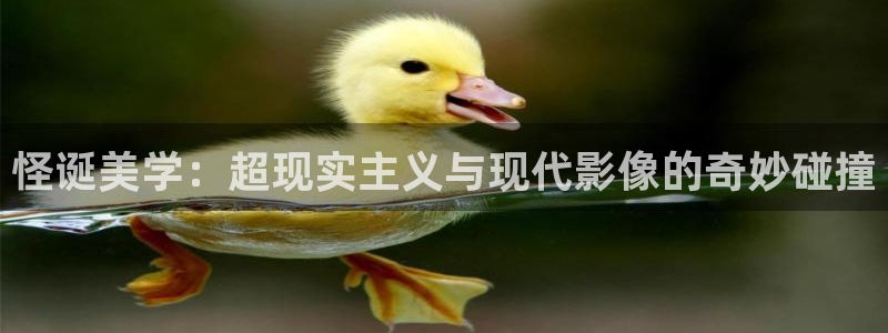 星空影院免费观看电影伦理片
