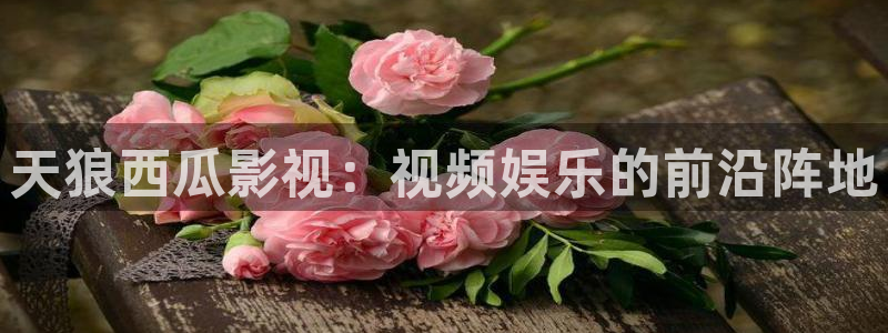 星空影城今天有什么电影