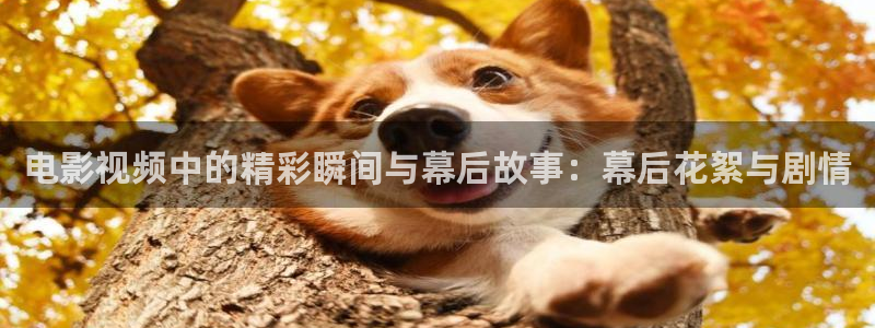 星空无痕mv高清在线观看：电影视频中的精彩瞬间与幕后故事：幕后花絮与剧情