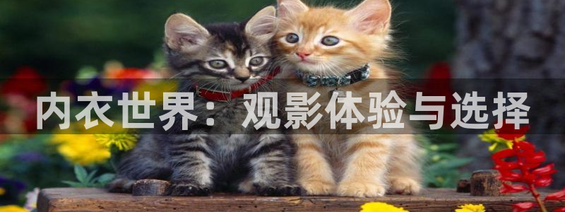 星空盒子影院影视大全免费观看：内衣世界：观影体验与选择