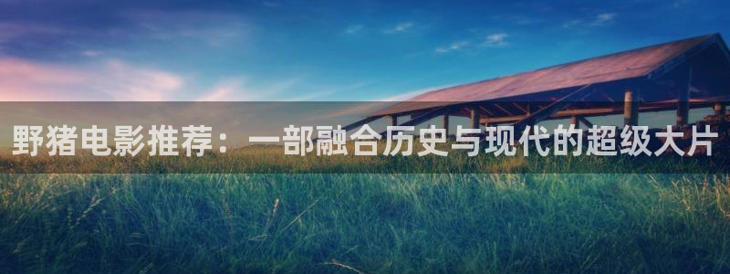 星空影院播放电影大全免费：野猪电影推荐：一部融合历史与现代的超级大片