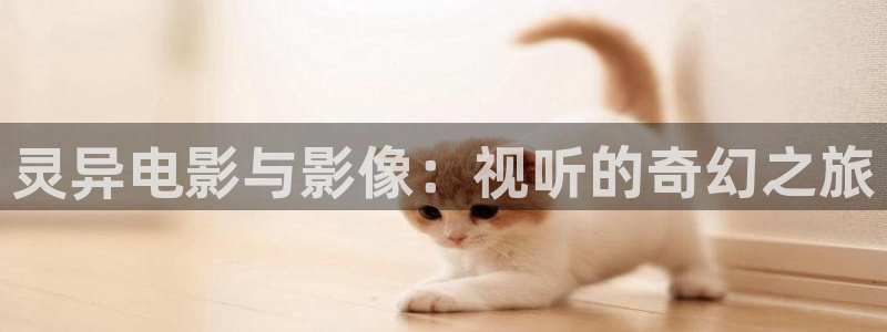 星空影院电视剧免费：灵异电影与影像：视听的奇幻之旅