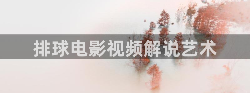 星空影院高清：排球电影视频解说艺术