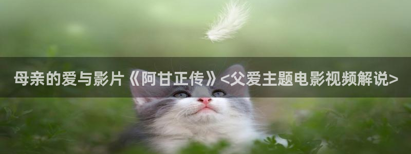刘老根5免费看全40集星空影院：母亲的爱与影片《阿甘正传》<父爱主题电影视频解说>