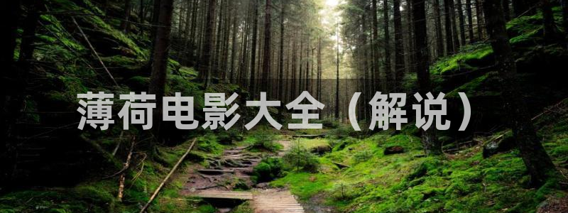 星空影院免费观看电视剧手机版：薄荷电影大全（解说）