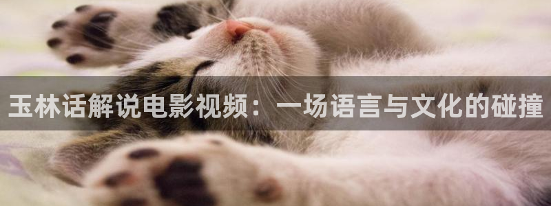 星空馆：玉林话解说电影视频：一场语言与文化的碰撞