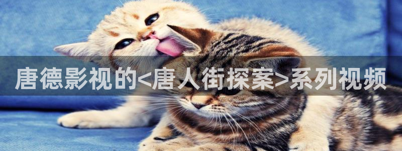 精东影业麻豆天美星空：唐德影视的<唐人街探案>系列视频