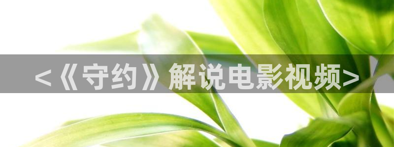 点燃我温暖你电视剧免费观看星空影院：<《守约》解说电影视频>