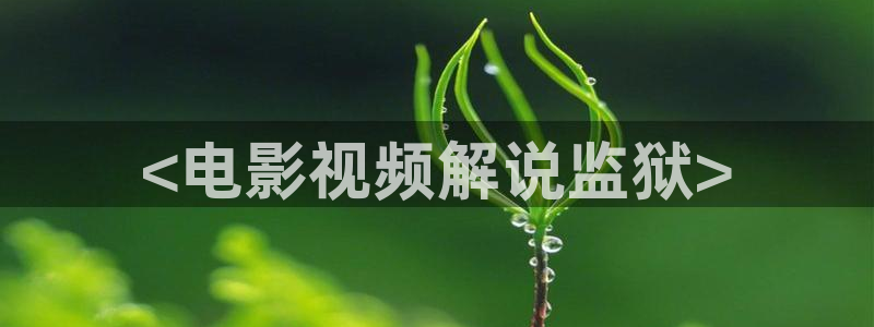 星空视频影视下载官网：<电影视频解说监狱>