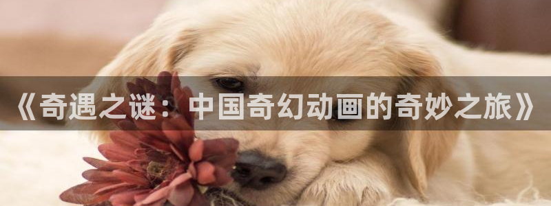 电影星空下载