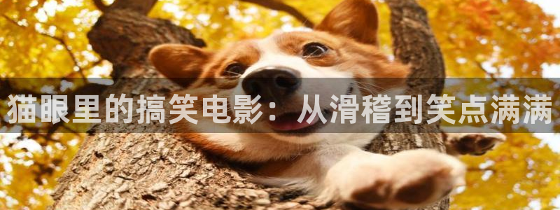 星空影院在线观看全集免费高清视频