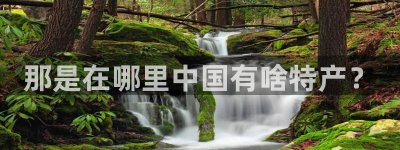 星空视频素材
