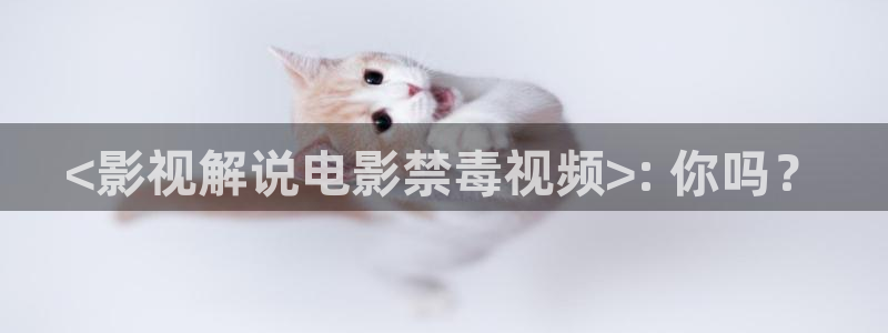 麻豆糖心星空九一