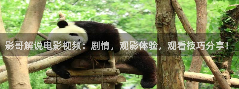 星空电影完整版视频