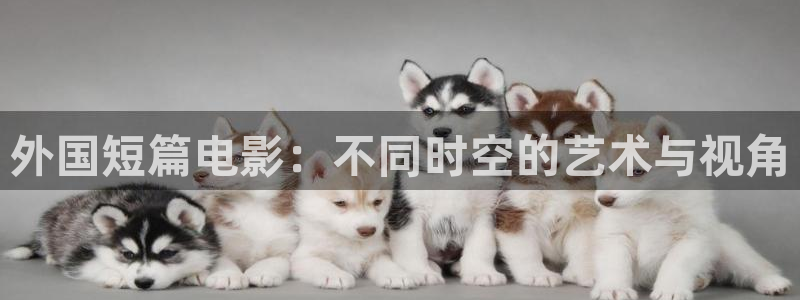 星空视频网站