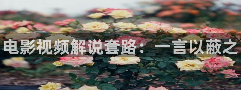 梵高的星空的电影