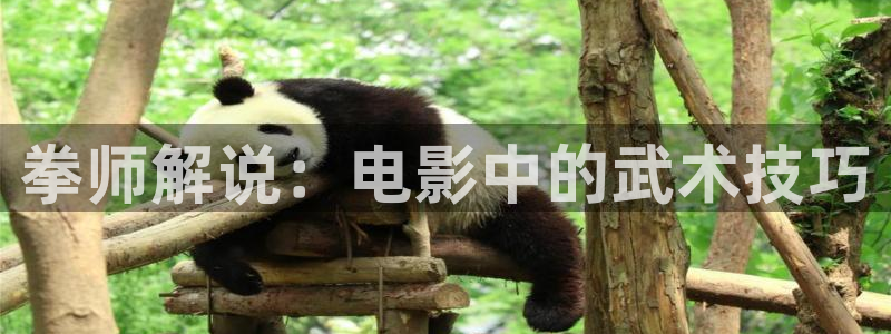 星空影院在线观看免费观看电视剧一