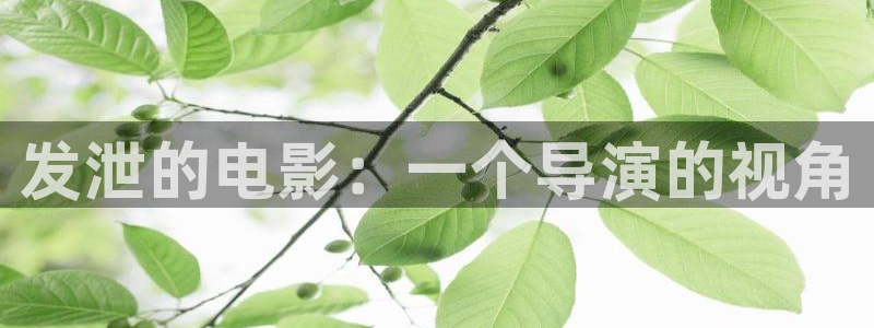 星空影视正版