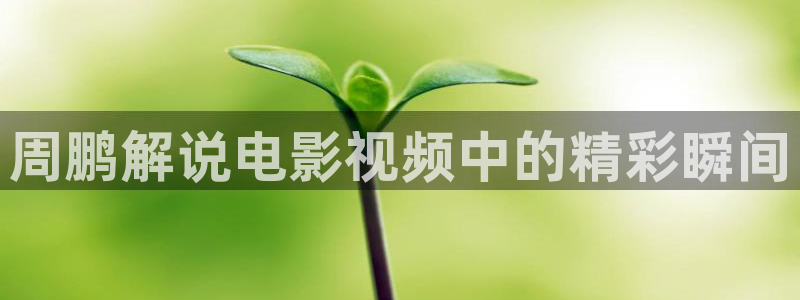 下载星空影视最新版