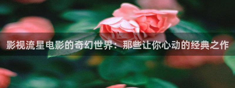 97影视电视剧免费观看星空影视