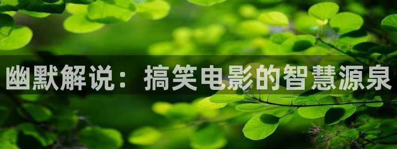 星空播剧
