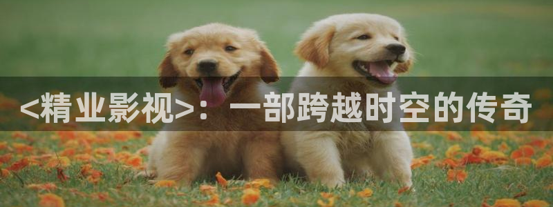 星空视频免费观看高清完整版