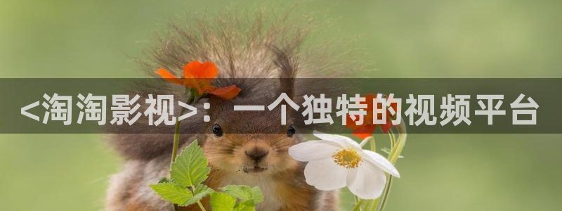 星空影视免费下载安装