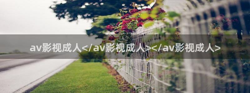 星空影视 在线