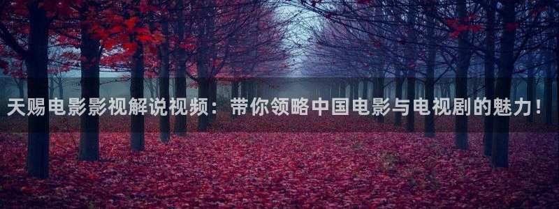 星空糖心天美mv
