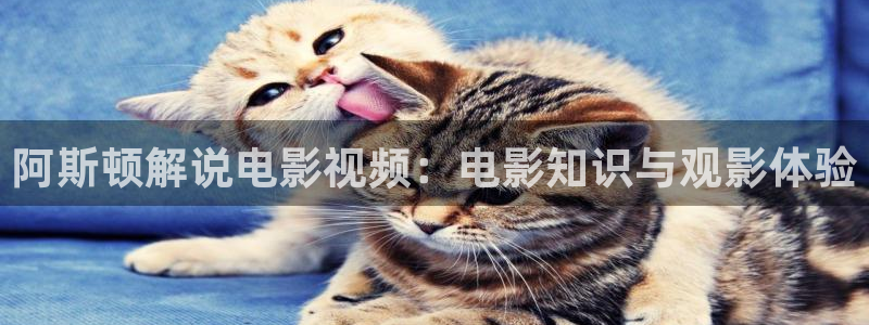 星空影院免费版下载
