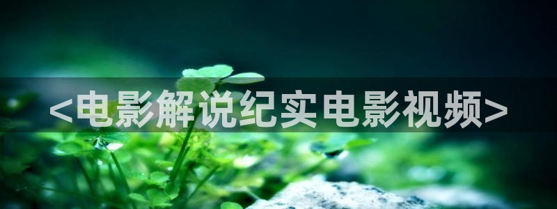 那片星空那片海电视剧