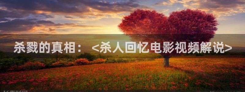 星空影视app官方下载：杀戮的真相： <杀人回忆电影视频解说>