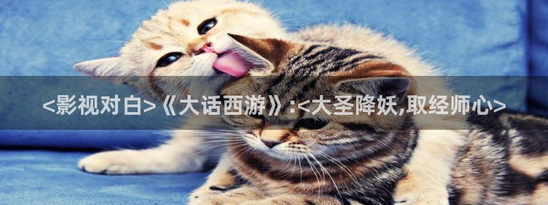 富县星空影院今日影讯