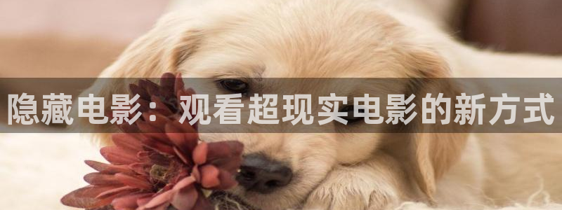 星空图片大全：隐藏电影：观看超现实电影的新方式