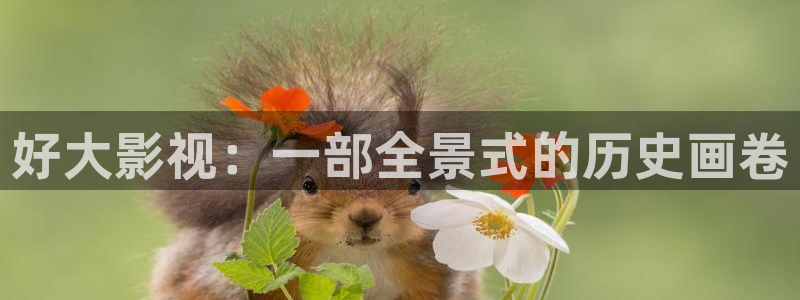 星空视频免费观看电影：好大影视：一部全景式的历史画卷