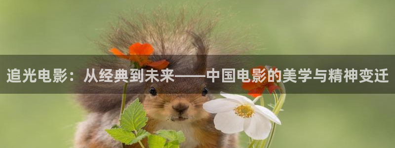 星空无限传媒影视免费观看