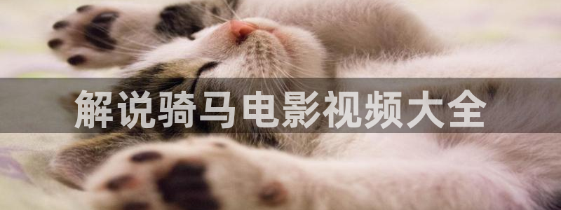 星空影院免费观看电影2024年上映：解说骑马电影视频大全