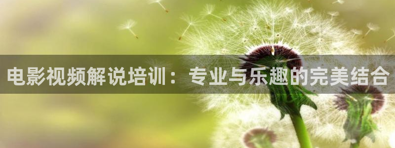 星空无痕mv电影免费观看
