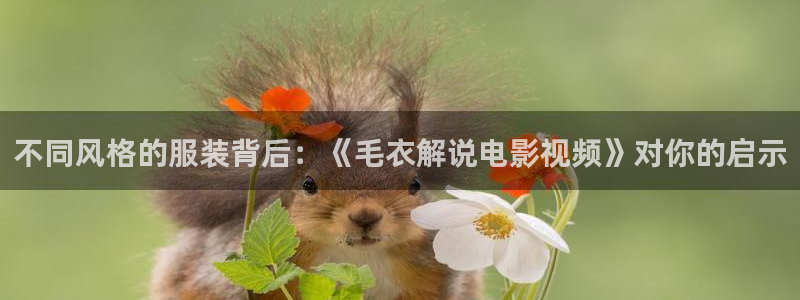 星空影视 影视大全：不同风格的服装背后：《毛衣解说电影视频》对你的启示