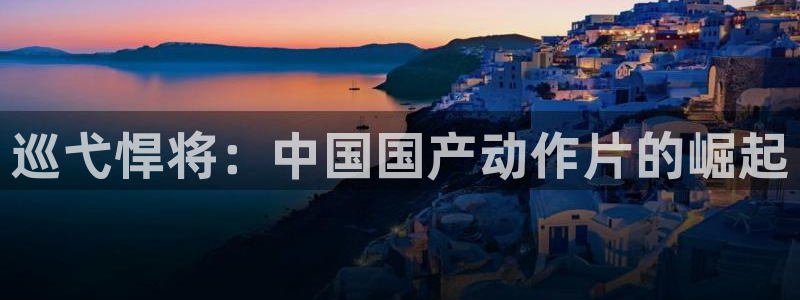 星空影视正版：巡弋悍将：中国国产动作片的崛起