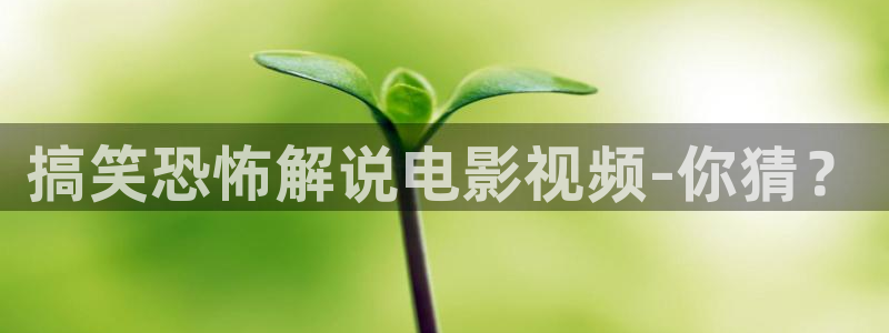 星空影院高清电影：搞笑恐怖解说电影视频-你猜？