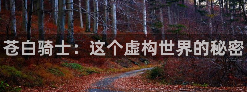 星空院线看电影：苍白骑士：这个虚构世界的秘密