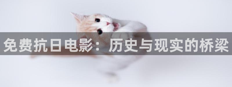 麻豆星空影视：免费抗日电影：历史与现实的桥梁