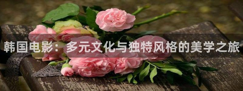 星空影院今日影讯：韩国电影：多元文化与独特风格的美学之旅